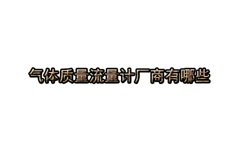 氣體質(zhì)量流量計廠商有哪些