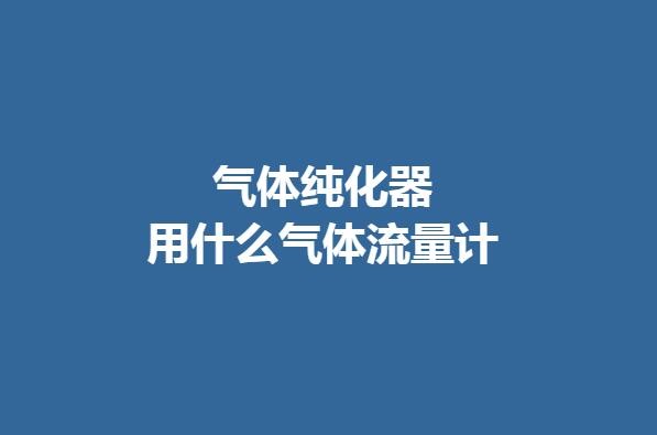 氣體純化器用什么氣體流量計(jì)