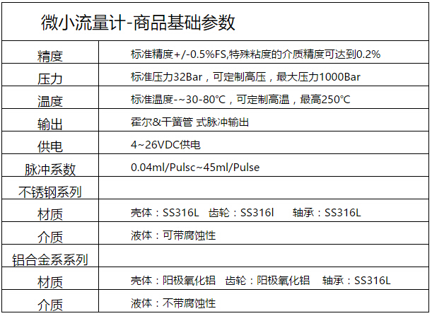汽油微小流量計(jì)